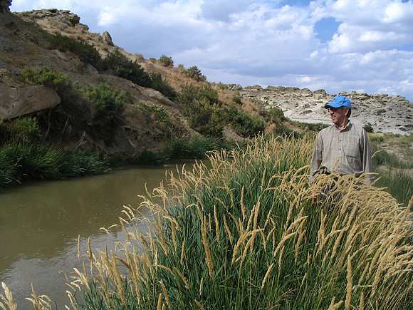 The Sidon Canal