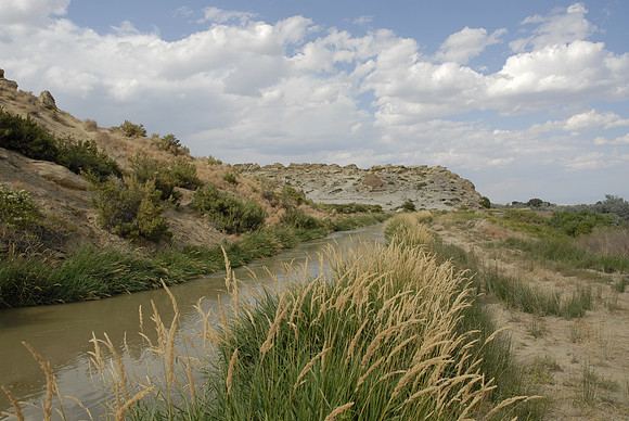 The Sidon Canal